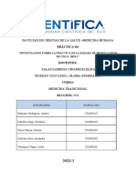 Pasada de Huevo - Informe