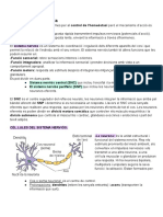 Fisio 2