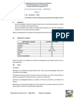 Practica de Campo G PDF