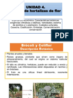 Unidad 4 PDF