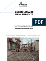 Aula 1 A Crise Ambiental PDF