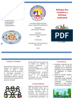Folleto Enfoque Eco Sistémico y Enfoque Ambiental PDF