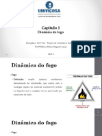 Curso de Engenharia Civil - Dinâmica do Fogo