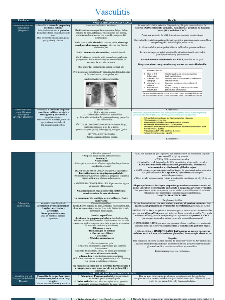 Guía Completa sobre Vasculitis y Diagnóstico | PDF
