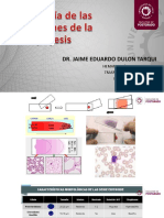 Morfología de Las Alteraciones de La Eritropoyesis PDF