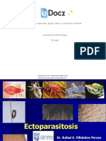 Ectoparasitos Dermatologia PDF