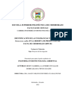 Identificación de Las Tolerancias Térmicas de S Cadlei en RPFCH PDF