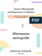 Histomonas y Haemoproteus