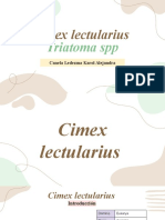 Cimex y Triatoma