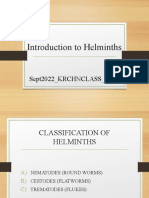 Introduction To Helminths