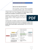 Las Ramas Del Derecho PDF