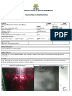 Teste de Vazamento Camera Autoclave 03-2016 PDF