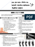 Apunte 4 PDF