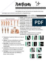 Apunte 1 PDF