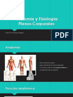 Planos y Movimientos PDF