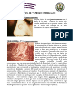 Practicas Epiteliales PDF