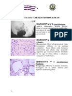 Practica Tumores Odontogenicos PDF