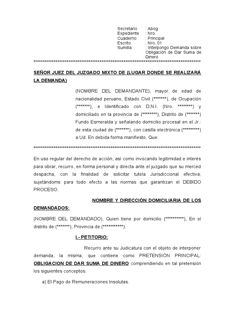 demanda-de-obligaci-n-de-dar-suma-de-dinero-pdf-demanda-judicial