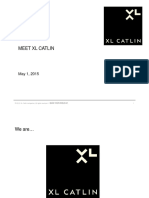 About XL Catlin PDF