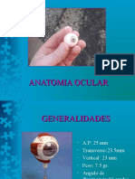 Anatomia Ocular DR VG