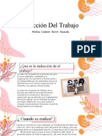 Inducción Del Trabajo