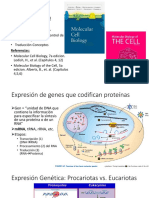 Genes y expresión génica