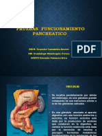 Pancreas Curso 22-I PDF