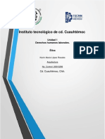 Derechos Humanos Laborales PDF