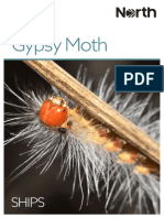 Asian Gypsy Moth Briefing PDF