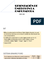 Representacion de Numeros en La Computadora Clase 2 PDF