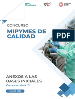 Anexos de Bases Iniciales de Mipymes de Calidad