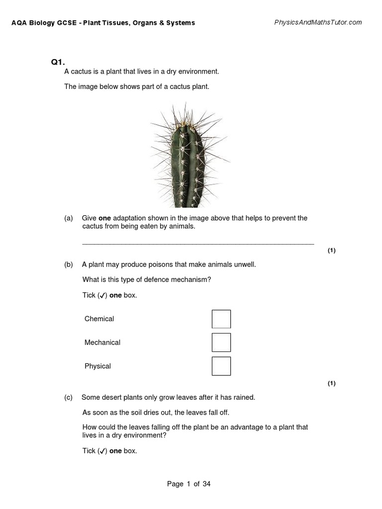 2.3 Plant Tissues, Organs & Systems QP PDF PDF
