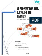 5 Momentos Del Lavado PDF