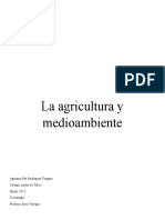 Agricultura y Los Problemas Que Trae Al Medioambiente3