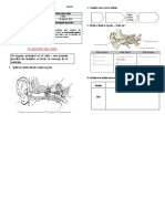 Ficha3 CIENCIA SENTIDO DEL OÍDO