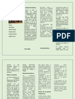Trabajo de Español PDF