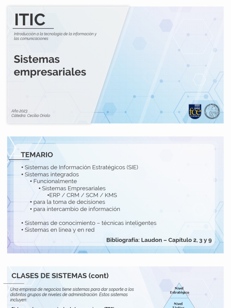 Sistemas Empresariales en la Era Digital | PDF