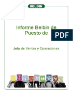 Informe - Belbin de Puesto Jefe de Ventas