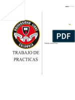 Informe de Practica Profesional