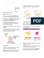 Cell Cycle