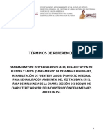 TERMINOS REV-DIV - Rehabiltación Amb - Tacubaya - VI Sección PDF