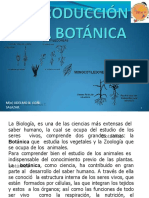 Clase01_Introducción_ Botanica (9).pptx