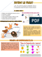 Definición de Vida PDF