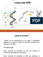 Estructura ARN y Proteínas para Envío