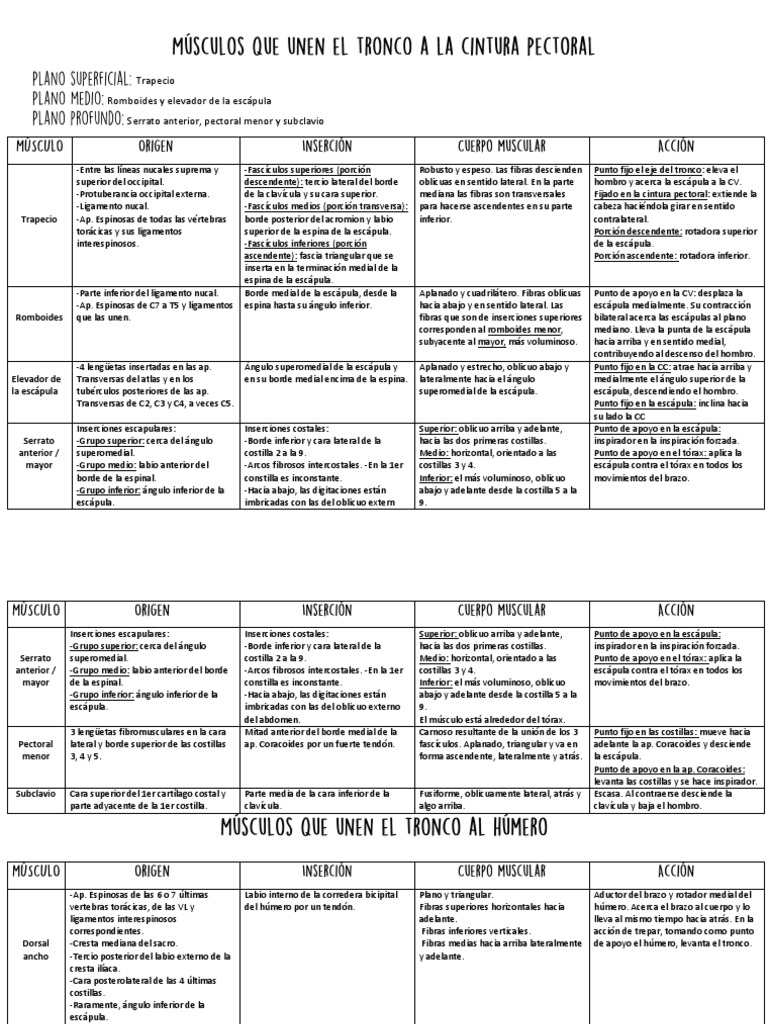 resumen-muscular-mmss-pdf-pdf