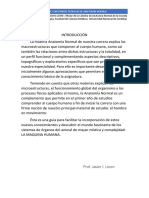 Resumen Introductorio PDF