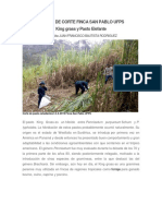 Pastos de Corte Finca San Pablo Ufps PDF