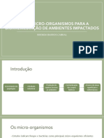 Apresentação Manejo - Brenda PDF