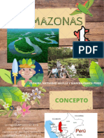 Amazonas PDF