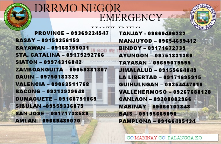 Negros Emergency Hotlines List | PDF